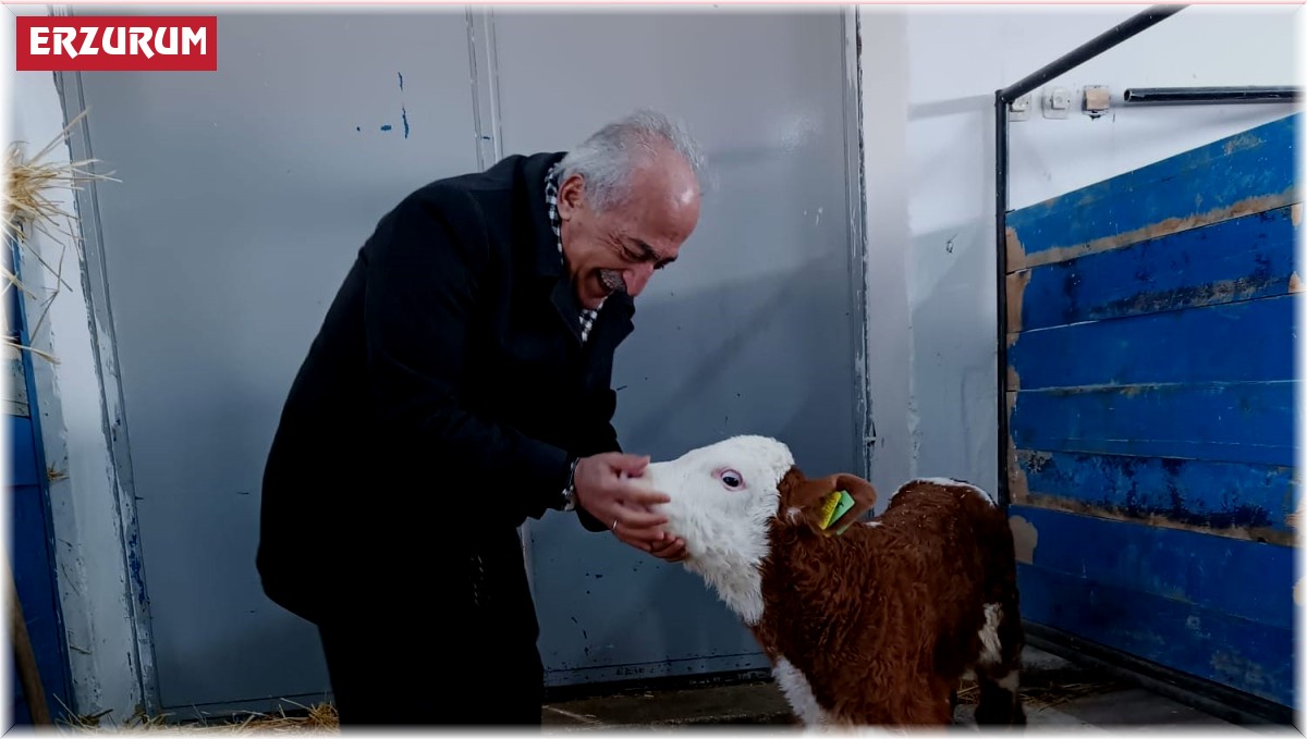 Rektör Çomaklı, büyükbaş hayvan çiftliğinde incelemelerde bulundu