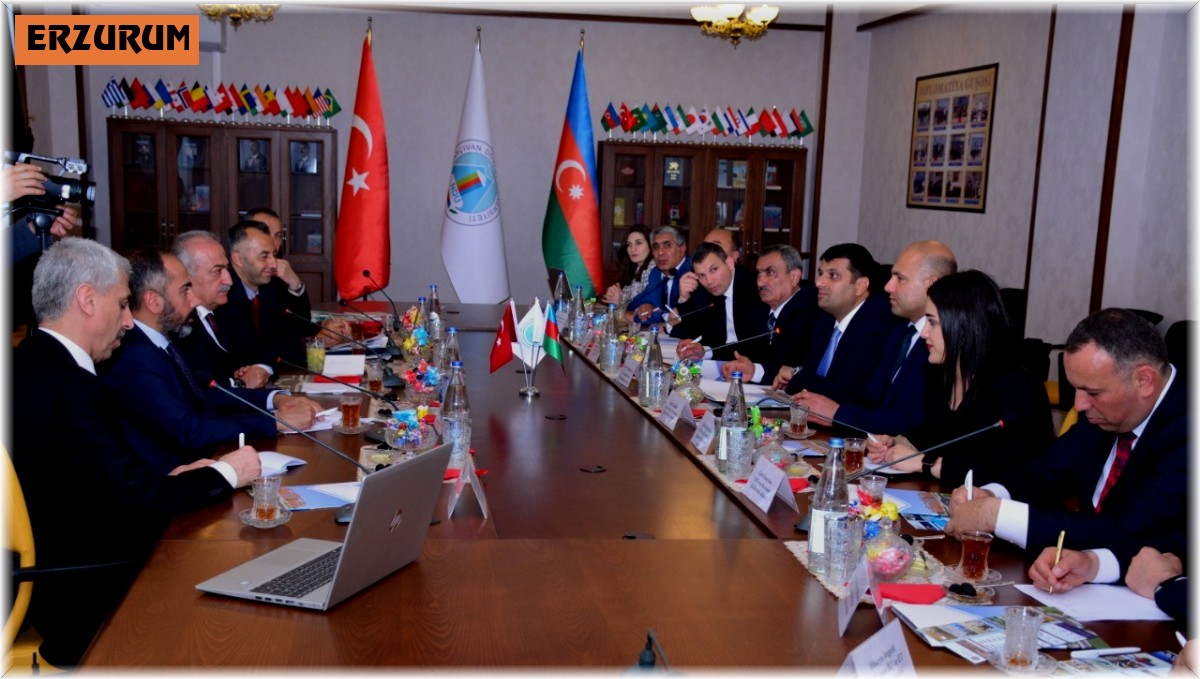 Rektör Çomaklı Nahçıvan'da bir dizi temaslarda bulundu