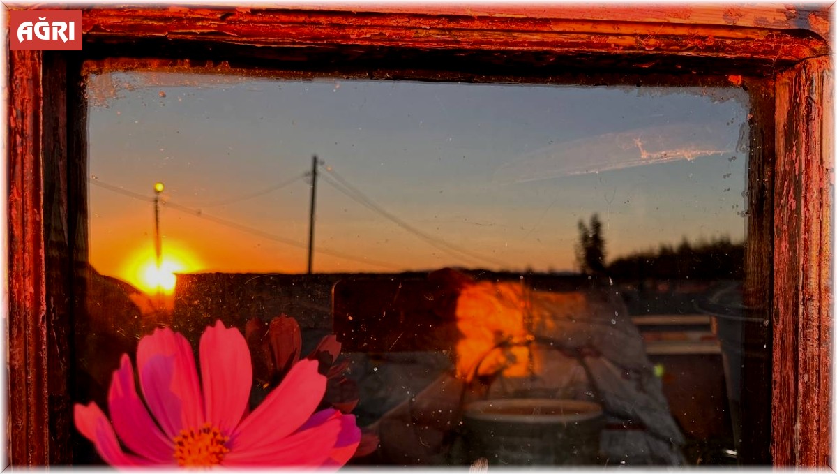 Rengarenk çiçekler sonbaharı karşıladı