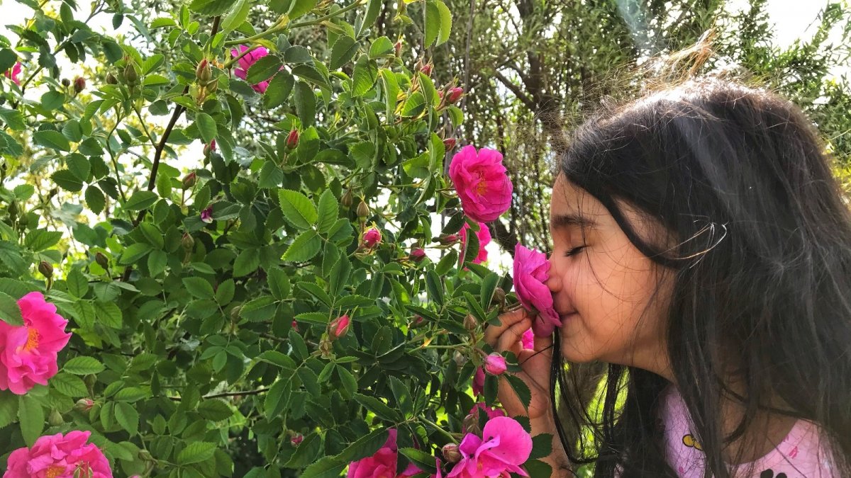 Renkleriyle doğayı canlandıran çiçekler göz kamaştırıyor