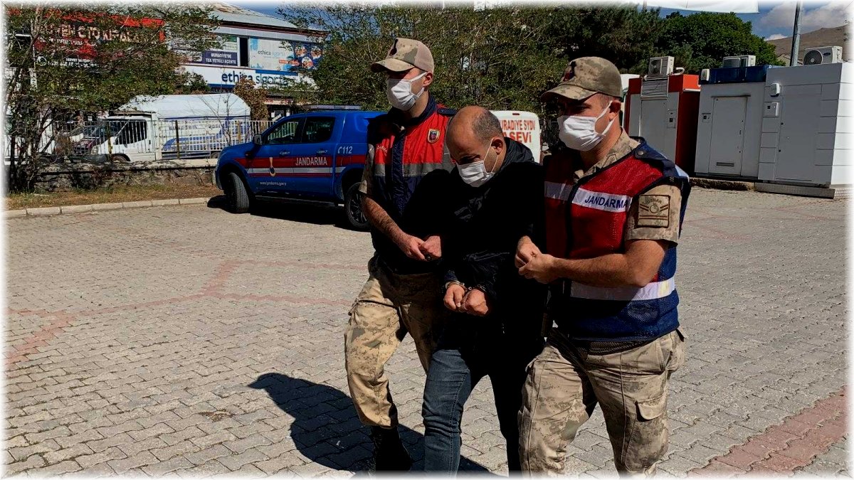 Resmi araçla göçmen kaçakçılığına jandarma 'dur' dedi