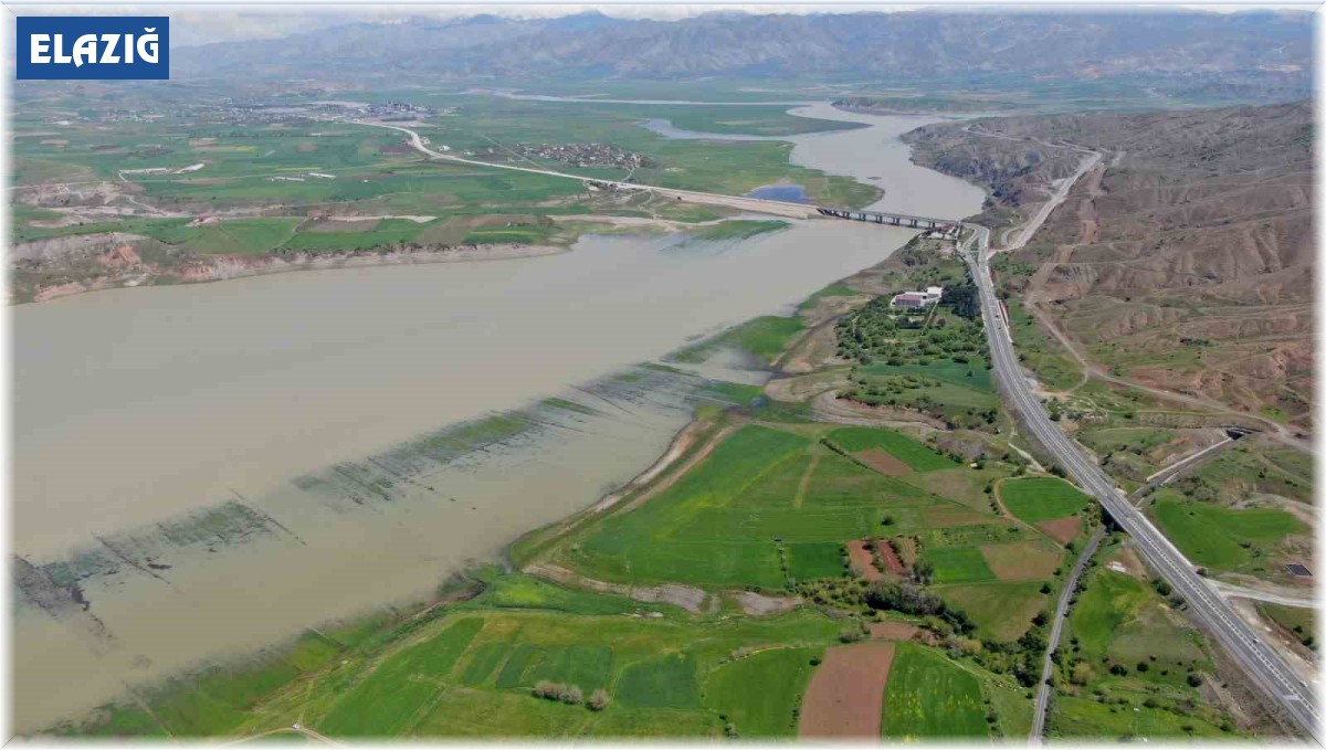 Risk alıp baraj sahasına ekim yapmışlardı: Emekleri sular altında kaldı