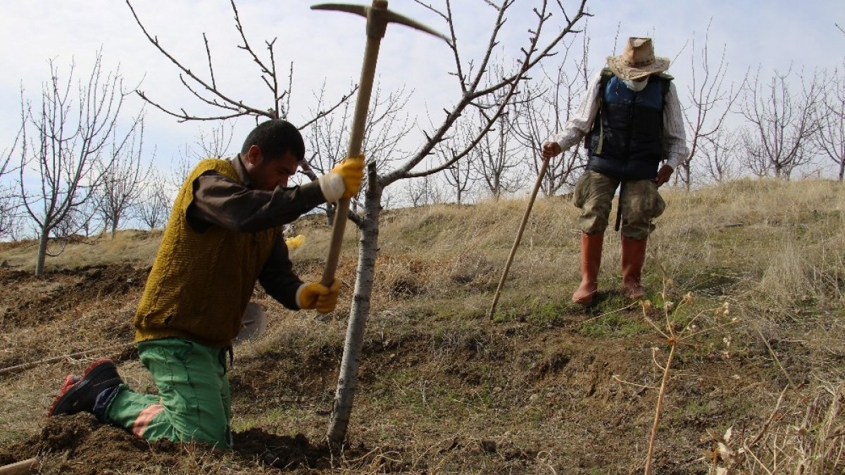 Robinson Ziya dedenin adasını kuraklık vurdu, ilk defa yarım ada oldu