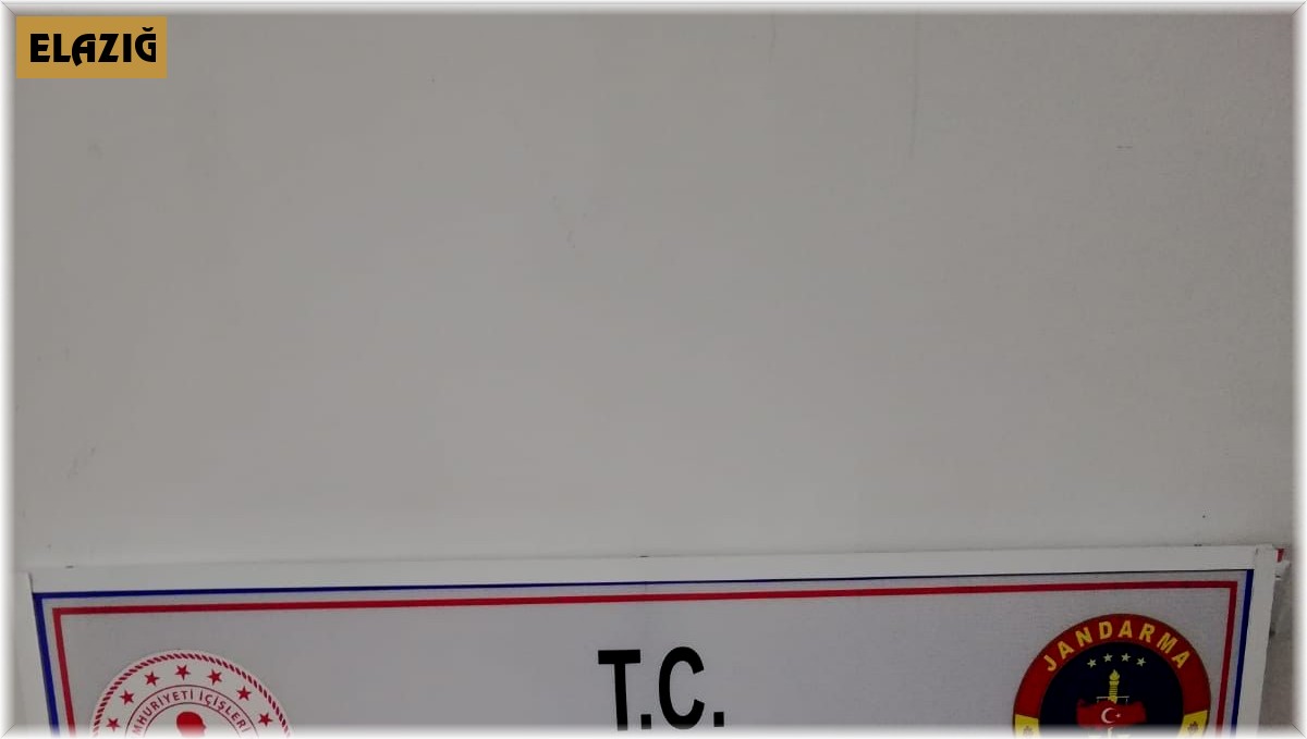 Ruhsatsız silah satan şüpheli yakalandı