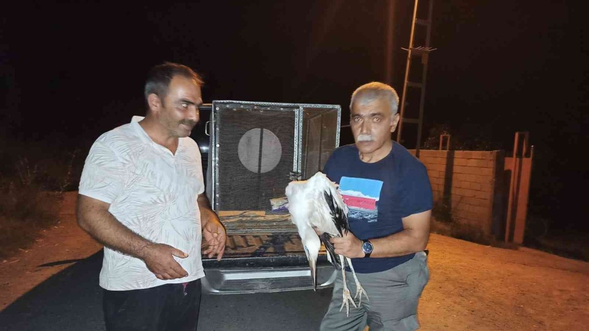 Rüzgardan etkilenen leylek tedavi altına alındı