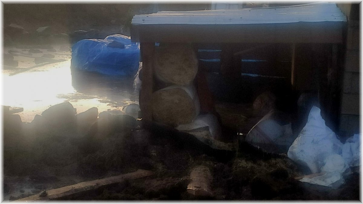 Sağanak yağış dereyi taşırdı