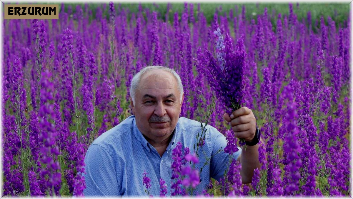 Sağanaklar doğayı mor'a boyadı