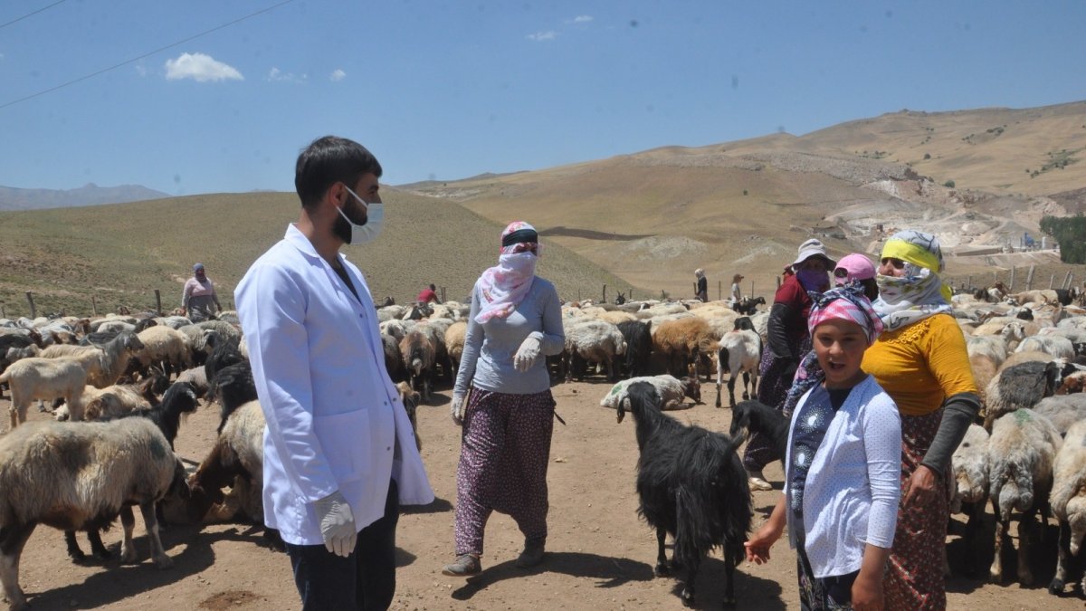 Sağlık çalışanları dağ tepe demeden berivanları, çobanları ve çiftçileri aşılıyor