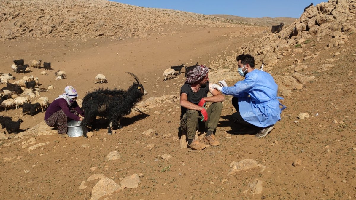 Sağlık çalışanları dağ tepe demeden çobanları aşılıyor
