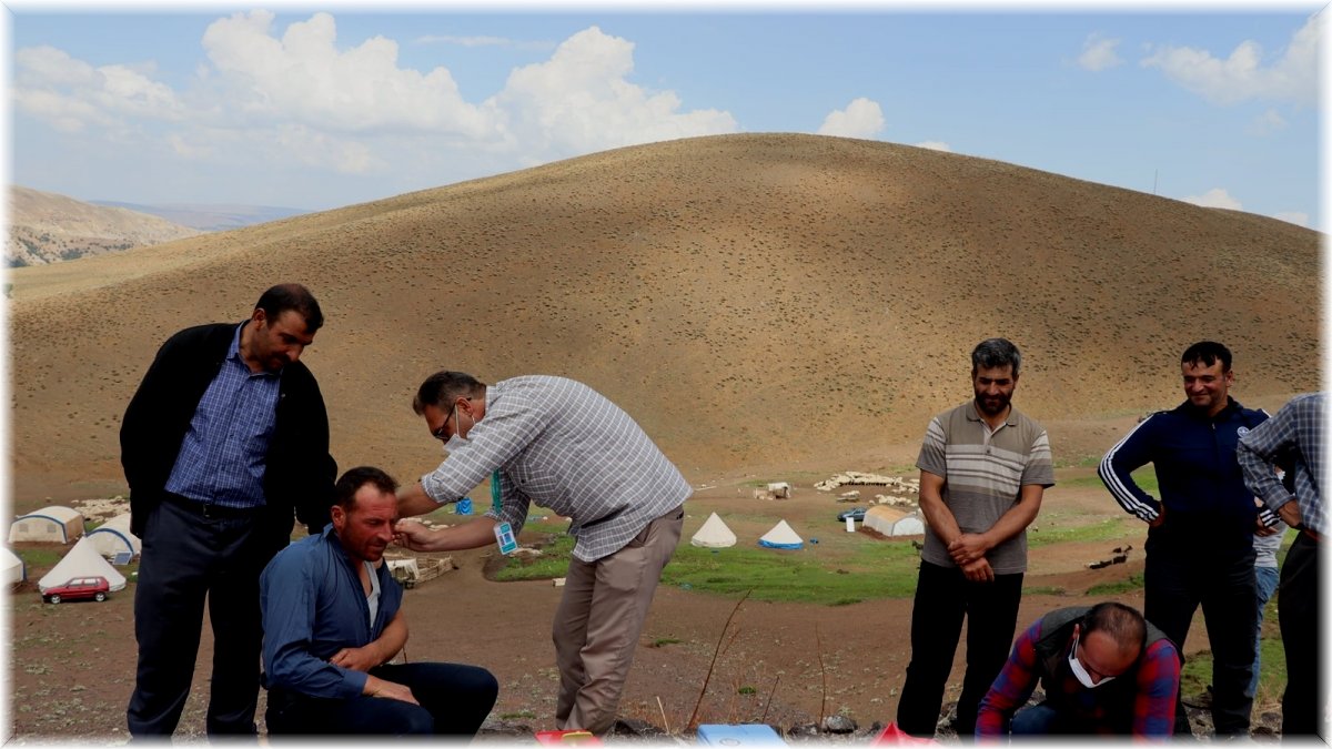 Sağlık ekipleri yaylada vatandaşlara Covid-19 aşısı uyguluyor