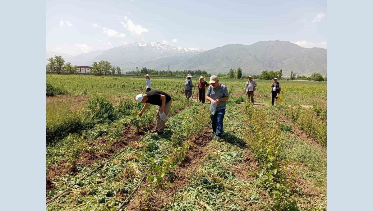 Sahada survey çalışması yapılıyor