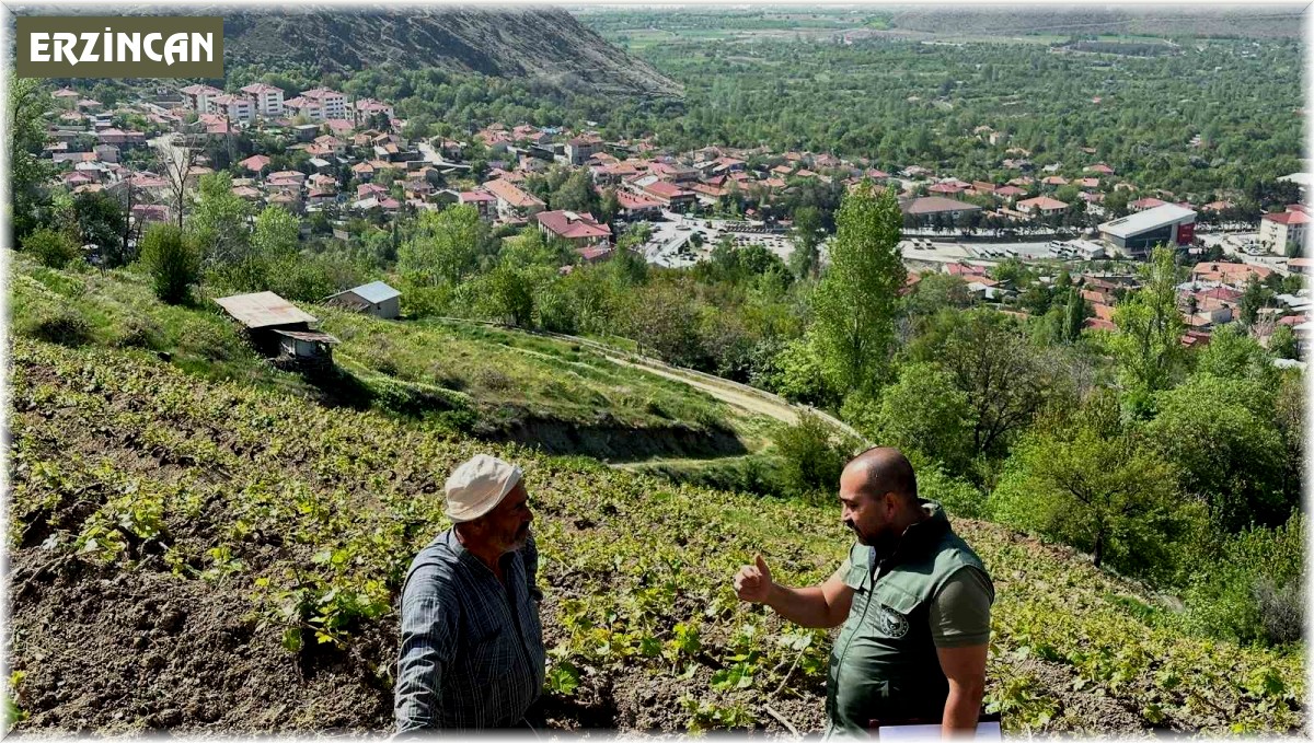 Sahayı adım adım dolaşıyorlar