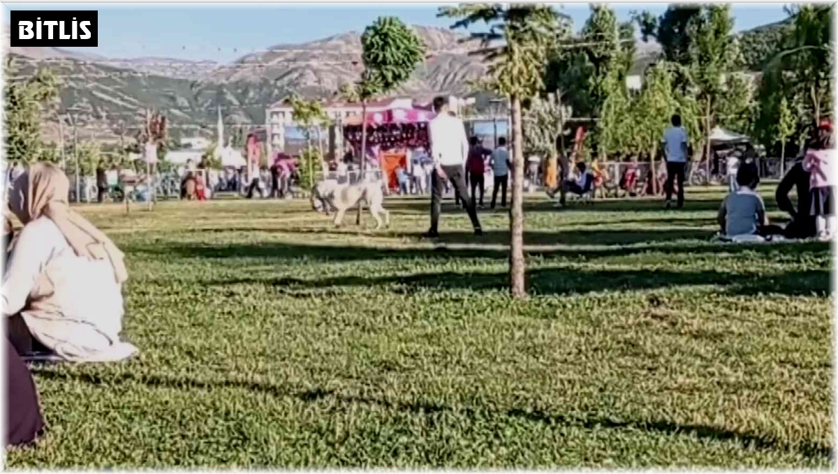 Sahilde top oynayan gençlerin köpekle imtihanı