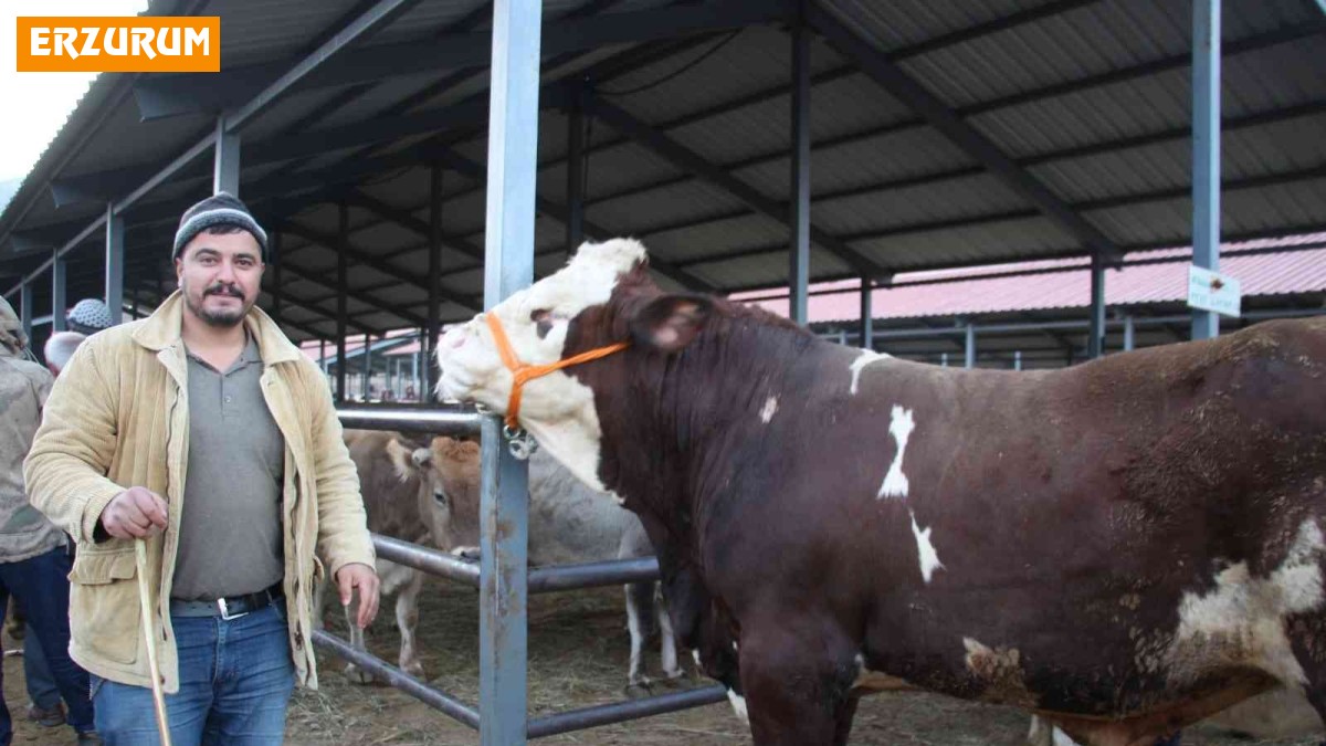 Şahin 21 bin liraya satıldı