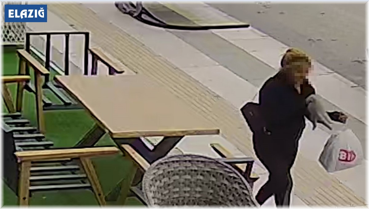 Sahipli kediyi kucağına alıp kayıplara karıştı