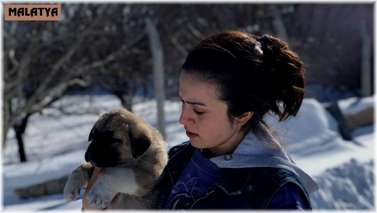 Sahipsiz köpeklere baba ile kızı sahip çıktı