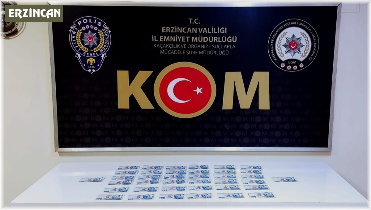 Sahte para operasyonunda 1 kişi tutuklandı