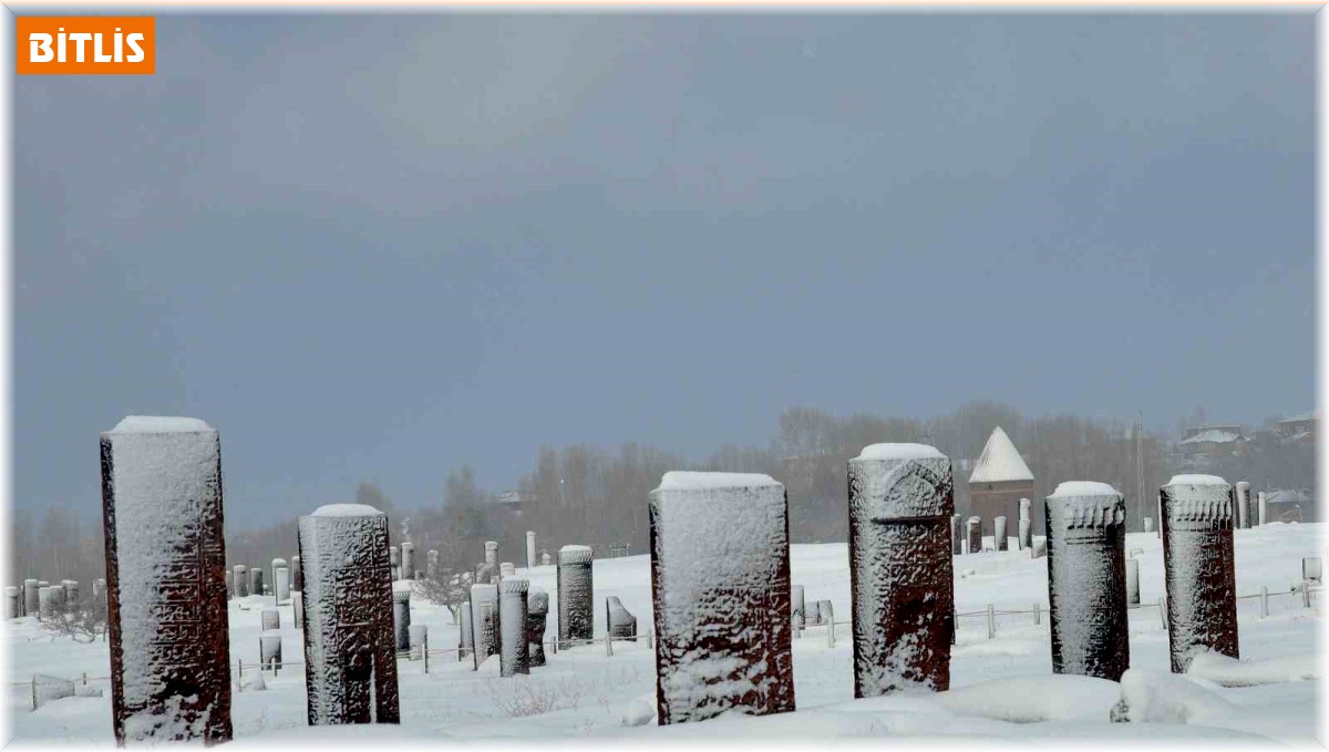 'Sakin şehir' Ahlat'ın tarihi mekanlarından kartpostallık kar manzaraları