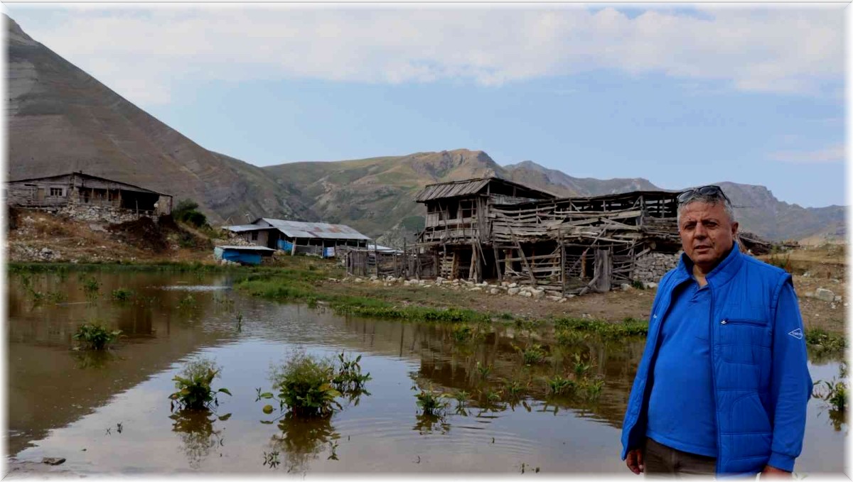 Salaçur Yaylası'nın turizme kazandırılmasını istiyorlar