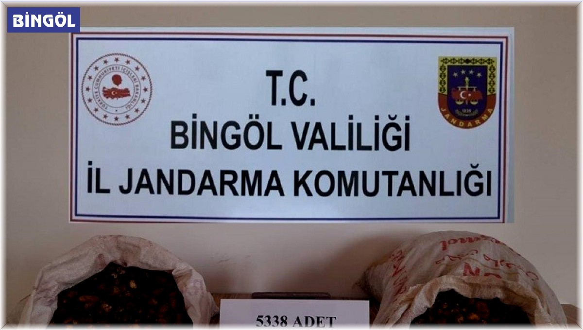 Salep soğanı toplayan kişilere 1 milyon 221 bin lira ceza kesildi