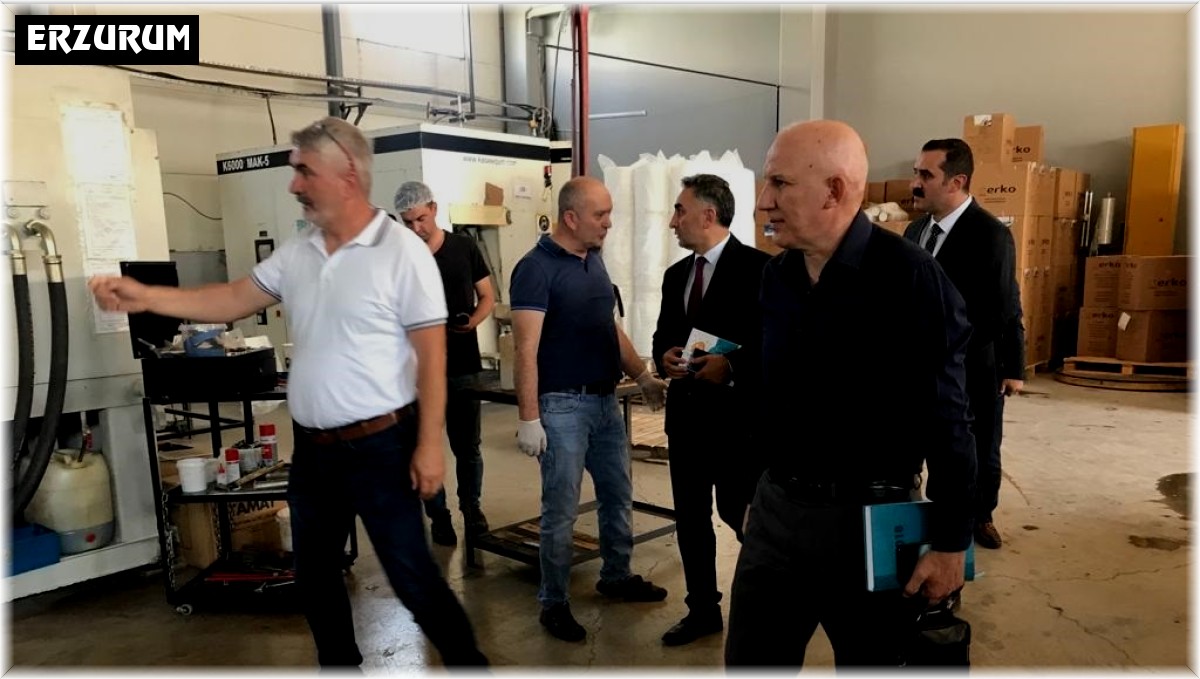 Sanayi ve teknoloji işbirliği kurulu Erzurum'da sahaya indi