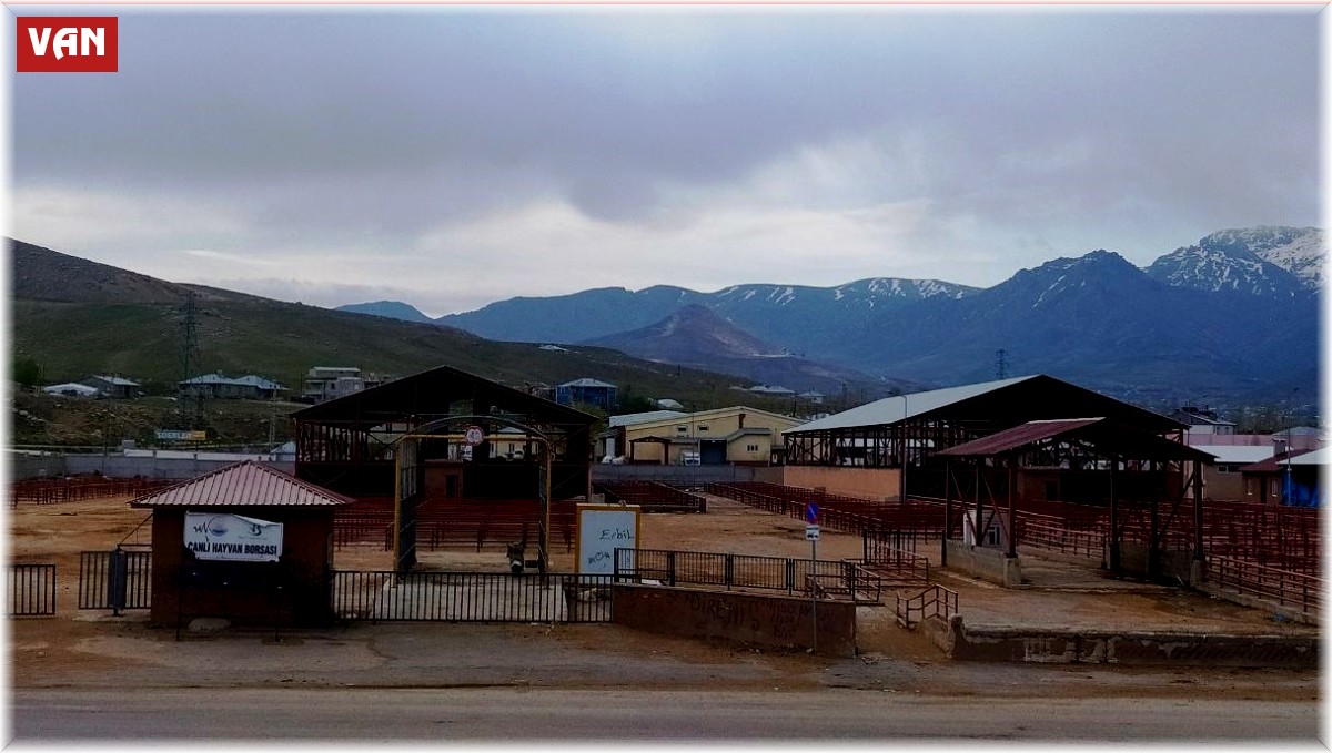 Şap hastalığı ile ilgili yasak kalktı