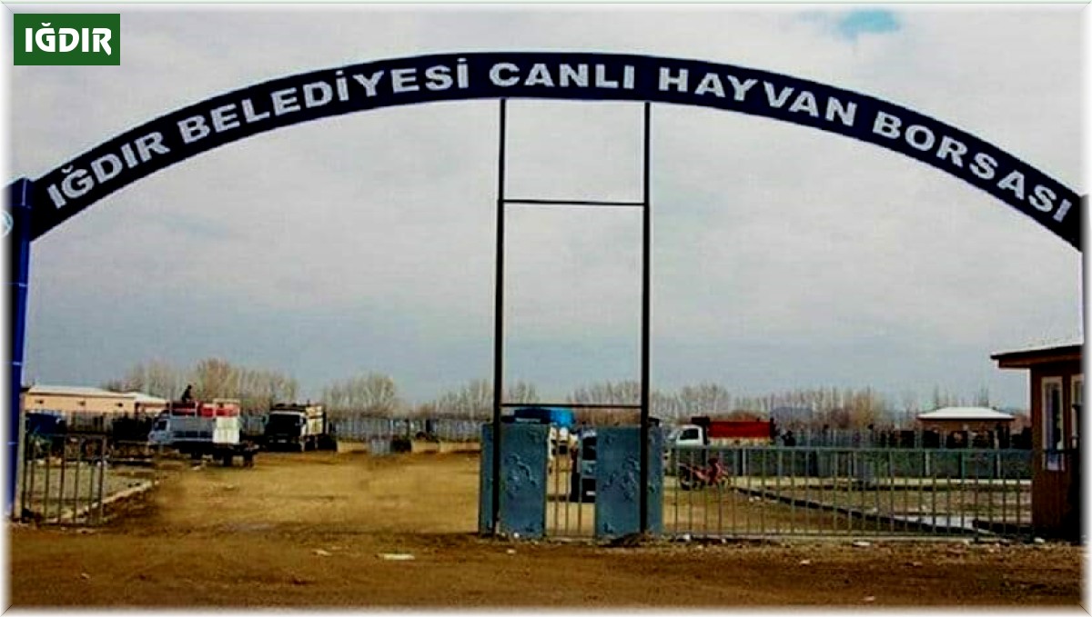 Şap hastalığından dolayı Iğdır hayvan pazarı kapatıldı