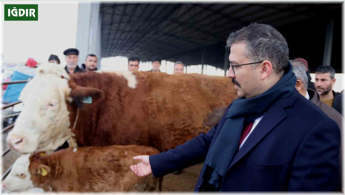 Şap hastalığından dolayı kapalı olan Iğdır Hayvan Borsası yeniden kullanıma açıldı