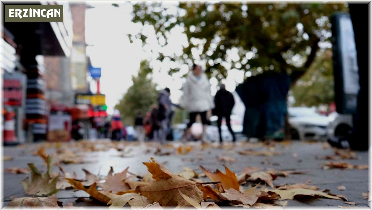 Sararan ve dökülen yapraklar görsel şölen oluşturdu