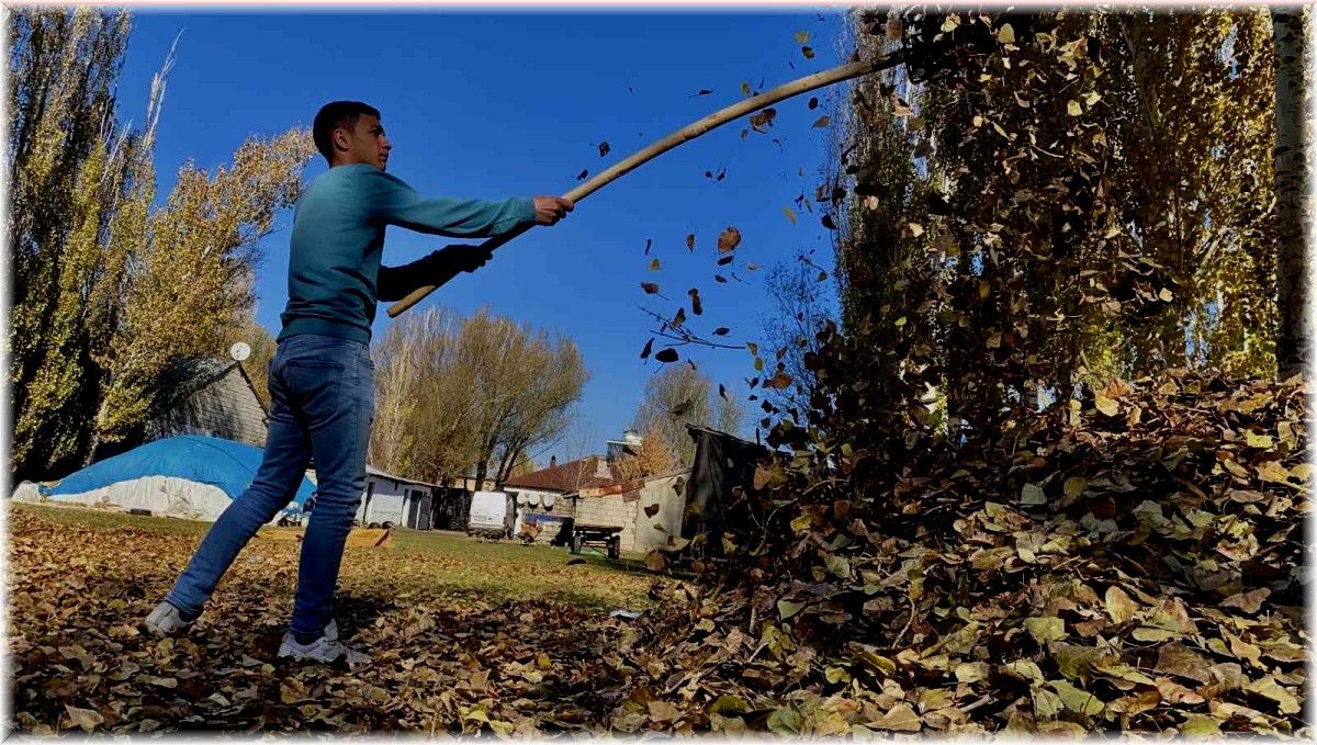 Sararan yapraklar toprakla buluştu