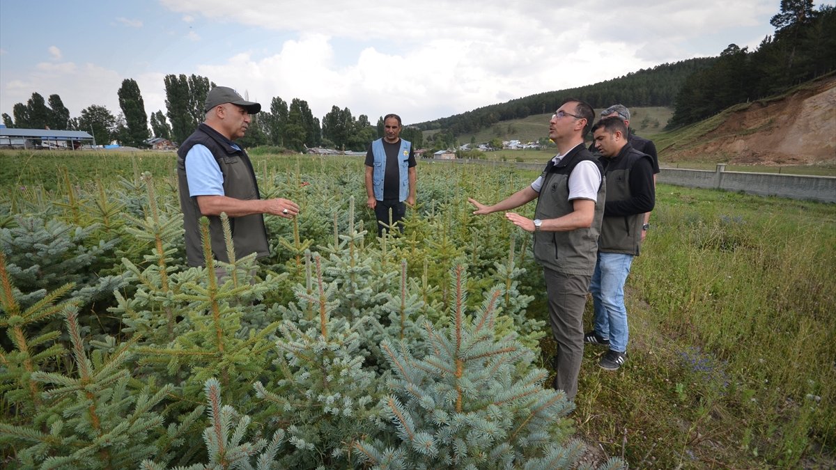 Sarıçam ormanlarına dikilen meyve fidanları sayesinde yaban hayatı aç kalmıyor