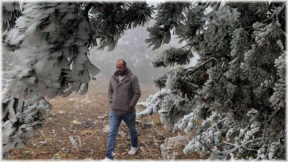 Sarıkamış buz kesti, ağaçlar kırağı tuttu