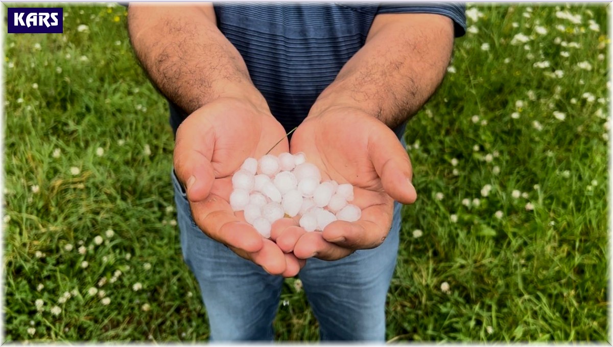 Sarıkamış'ı dolu vurdu