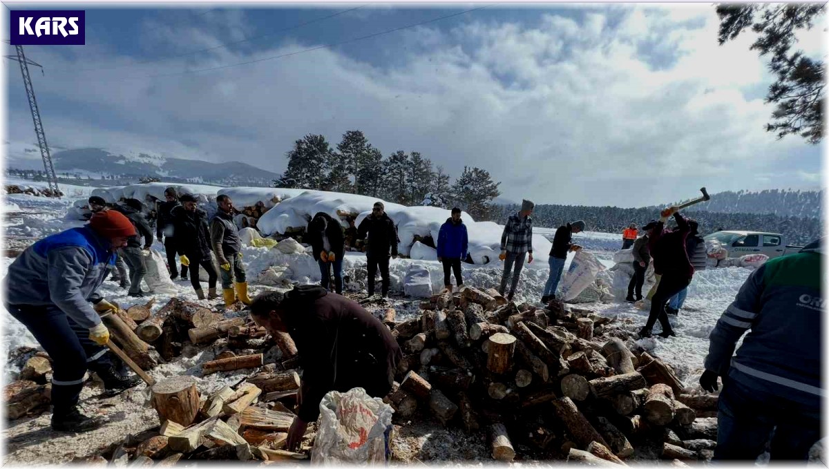 Sarıkamış'ın odunları depremzedeleri ısıtacak