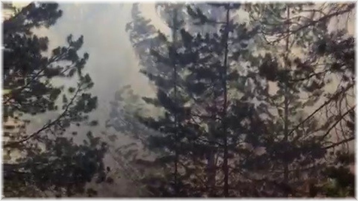 Sarıkamış Ormanları'nda korkutan yangın, ekiplerin müdahalesi sürüyor