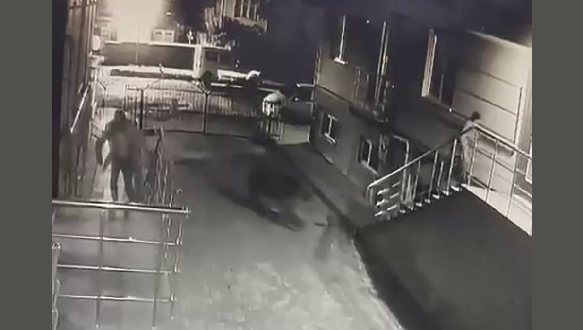 Sarıkamış'ta ayı vatandaşlardan, vatandaşlar ayıdan kaçtı