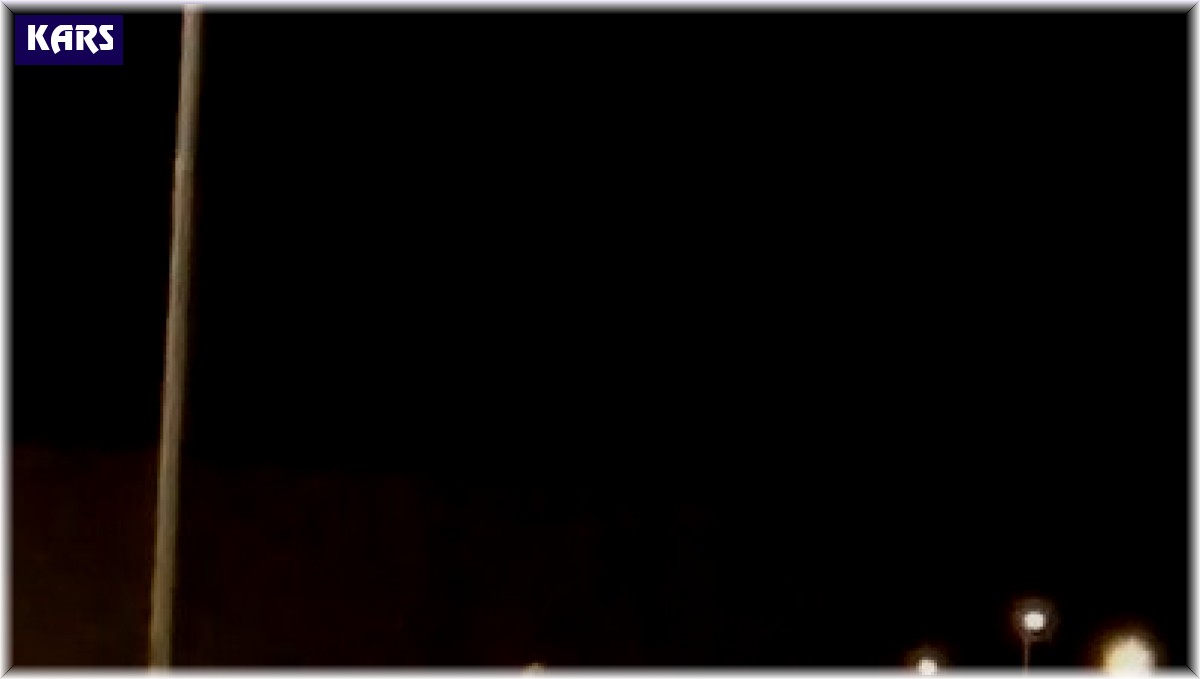 Sarıkamış'ta boz ayı caddeye indi