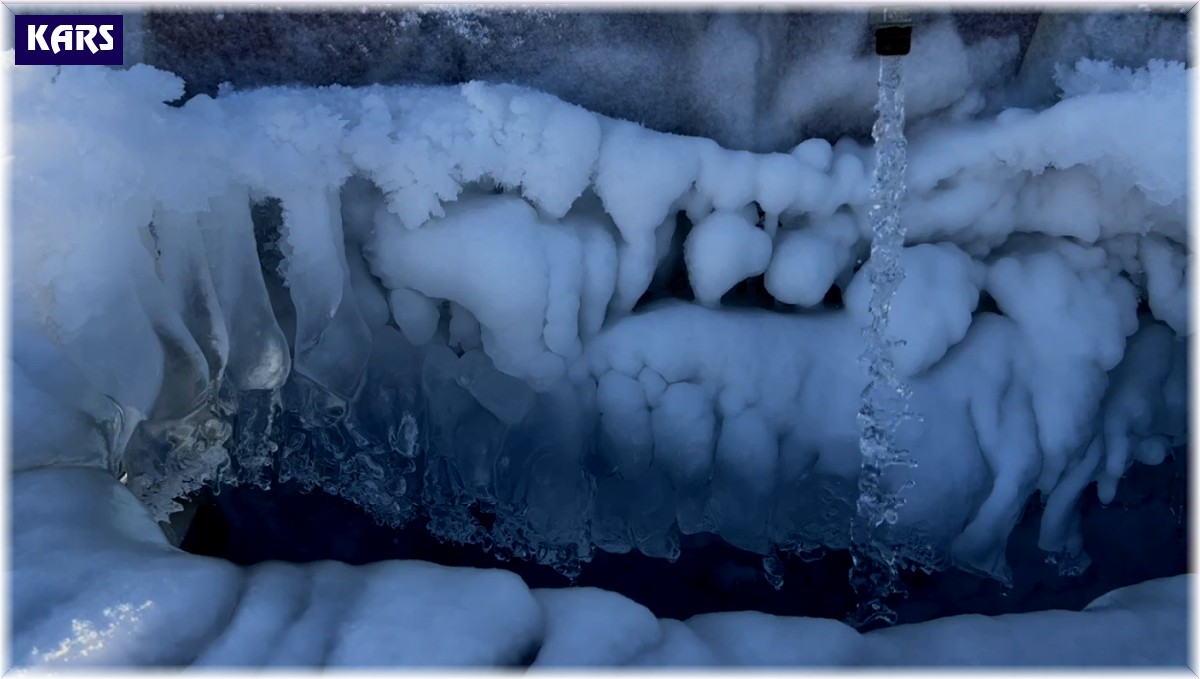 Sarıkamış'ta kar ve soğuk etkili oldu