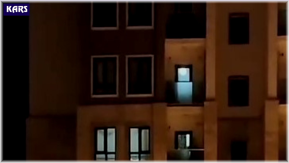 Sarıkamış'ta kış uykusuna yatmayan ayılar kamerada