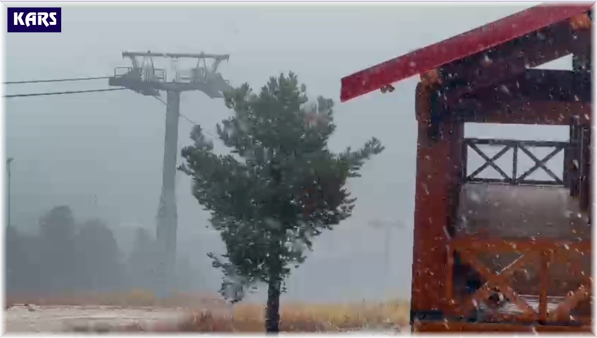 Sarıkamış'ta lapa lapa kar yağışı başladı