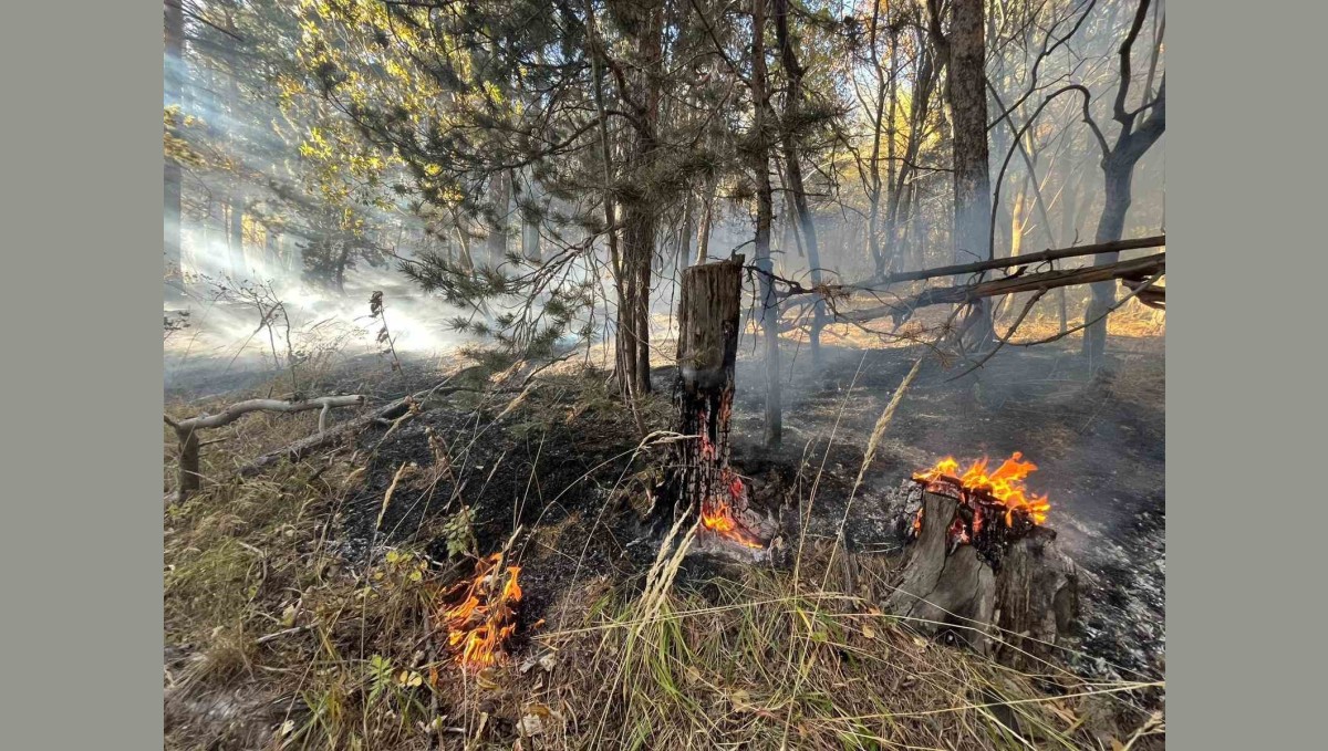 Sarıkamış'ta orman yangını: 2 hektar alan zarar gördü