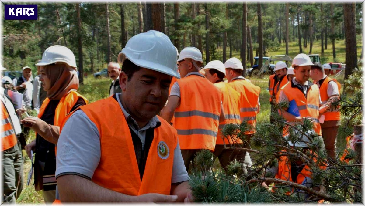 Sarıkamış'ta "Silvikültürel Uygulamaları" eğitimi