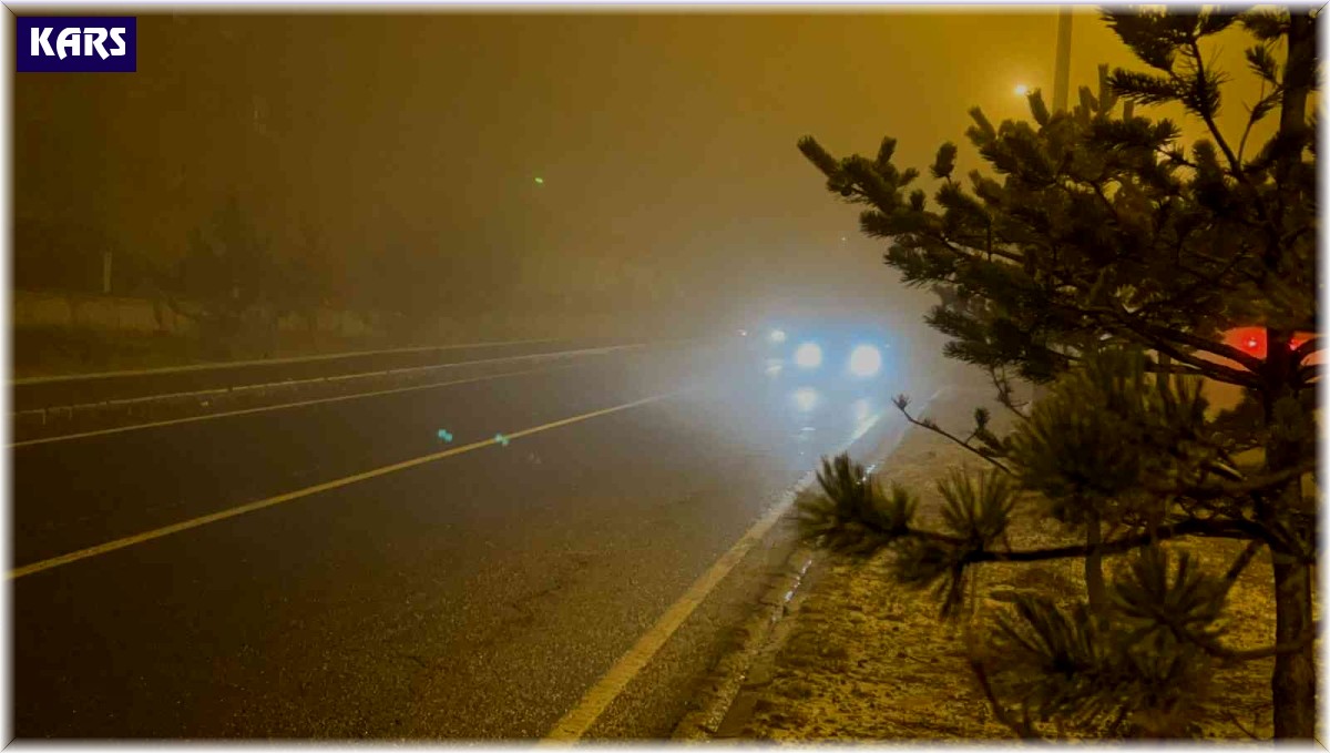 Sarıkamış'ta yoğun sis hayatı olumsuz etkiledi