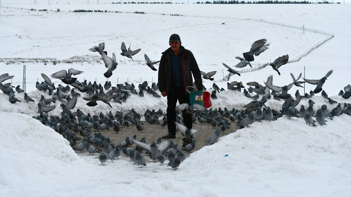 Sarıkamış’ta yürek ısıtan duyarlılık: Temel Yiğit her sabah yaban kuşları için kar kürüyor