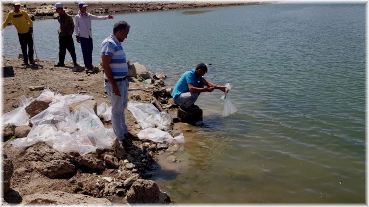 Sarımehmet Barajına 260 bin yavru balık bırakıldı