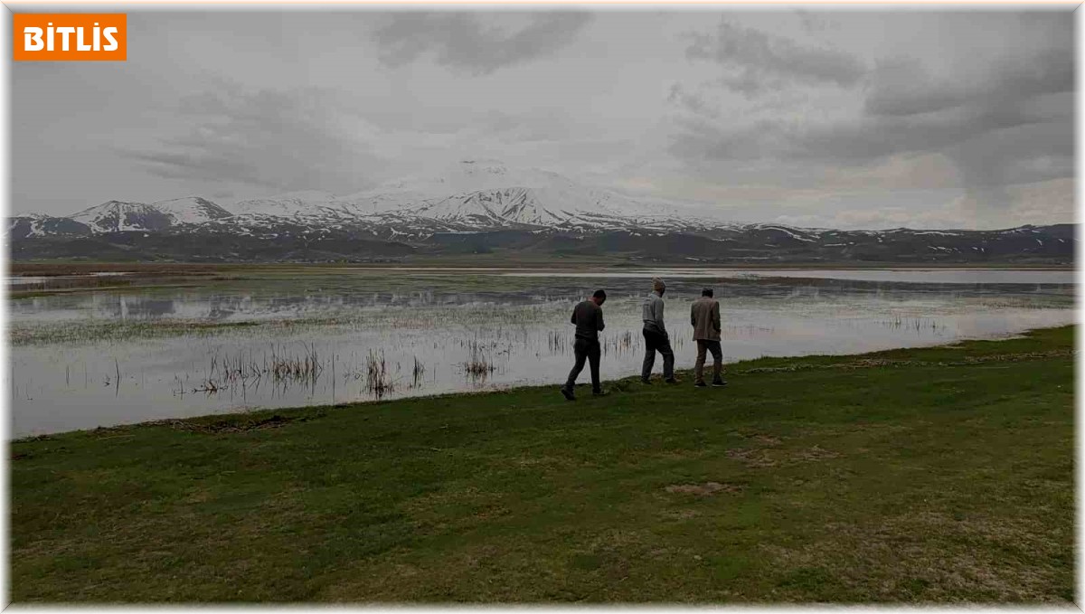 Sarısu Ovası'nın karlı Süphan Dağı'yla kartpostallık görüntüsü