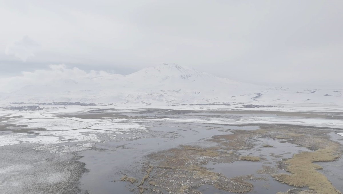 Sarısu sazlıkları ile Süphan Dağı'nın karlı zirvesi göz kamaştırıyor