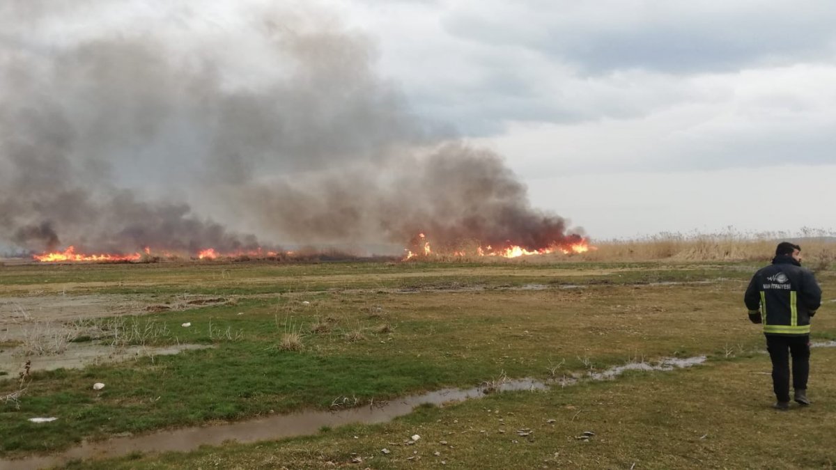 Sazlık alanda korkutan yangın