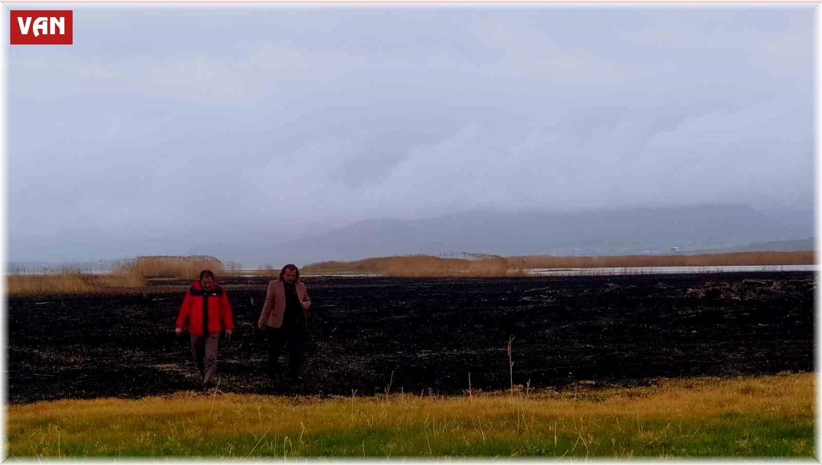 Sazlık yangınları ekolojik dengeyi bozuyor