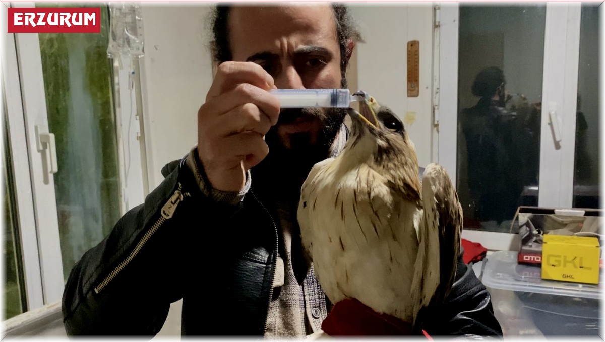 Şefkatli ellerde kanatlarını umuda çırptılar